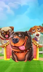 The Dog House