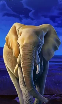 African Elephant