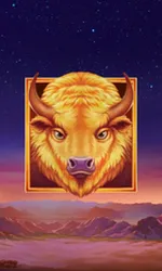 Buffalo's Sun 2